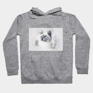 Beautiful eyes cat Hoodie